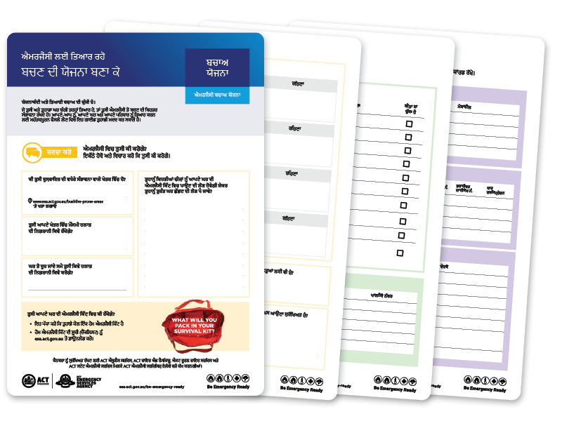 punjabi survival plan