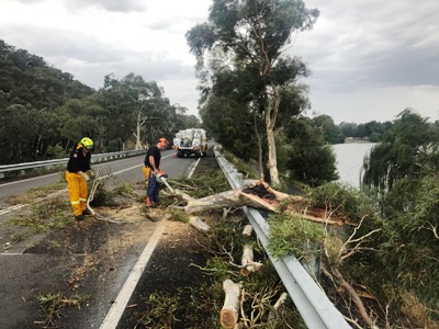 ACTRFS Rivers Brigade members work to clear a fallen tree from Lady Denman Drive. Photo by Martin Greenwood.